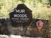 Muir Woods National Parc