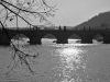 Karlsbrücke